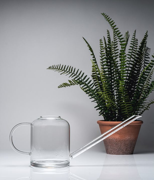 Glas-Gießkanne "1,3L", klar von Muurla