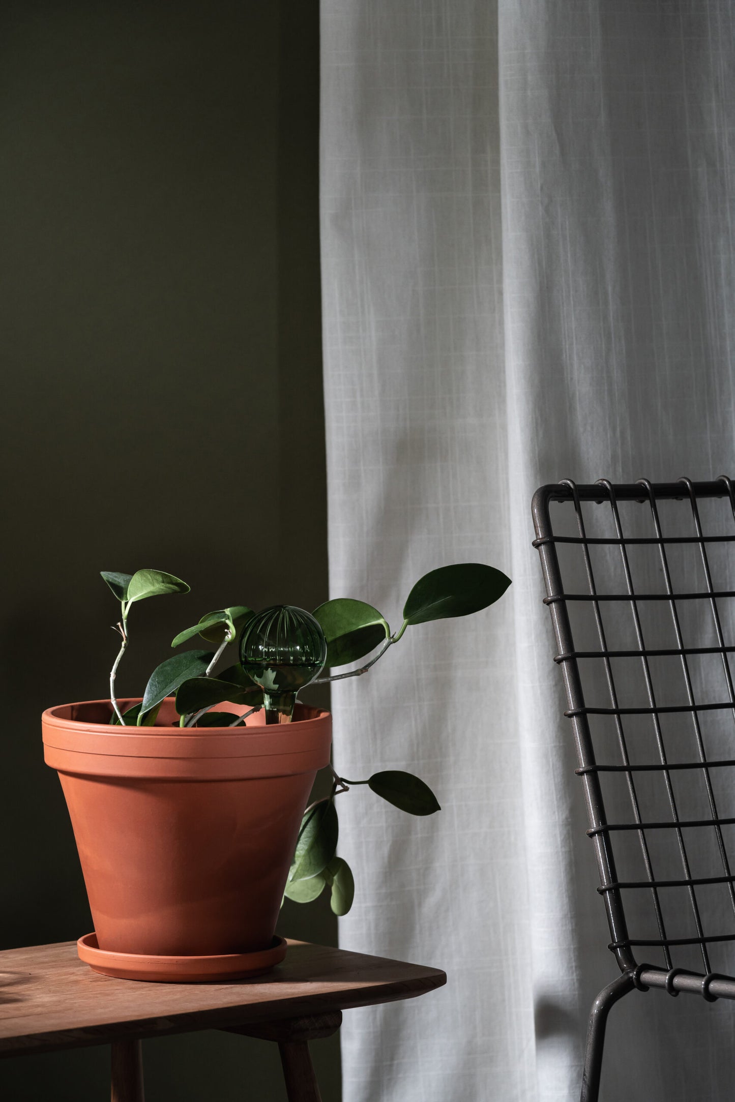 Bewässerungskugel, grün von Muurla