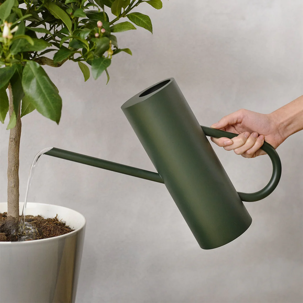 Gießkanne "Bloom, pine" von Stelton