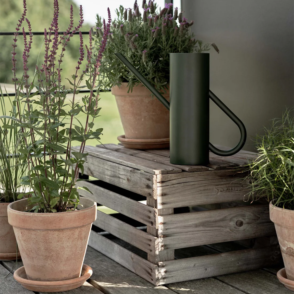 Gießkanne "Bloom, pine" von Stelton
